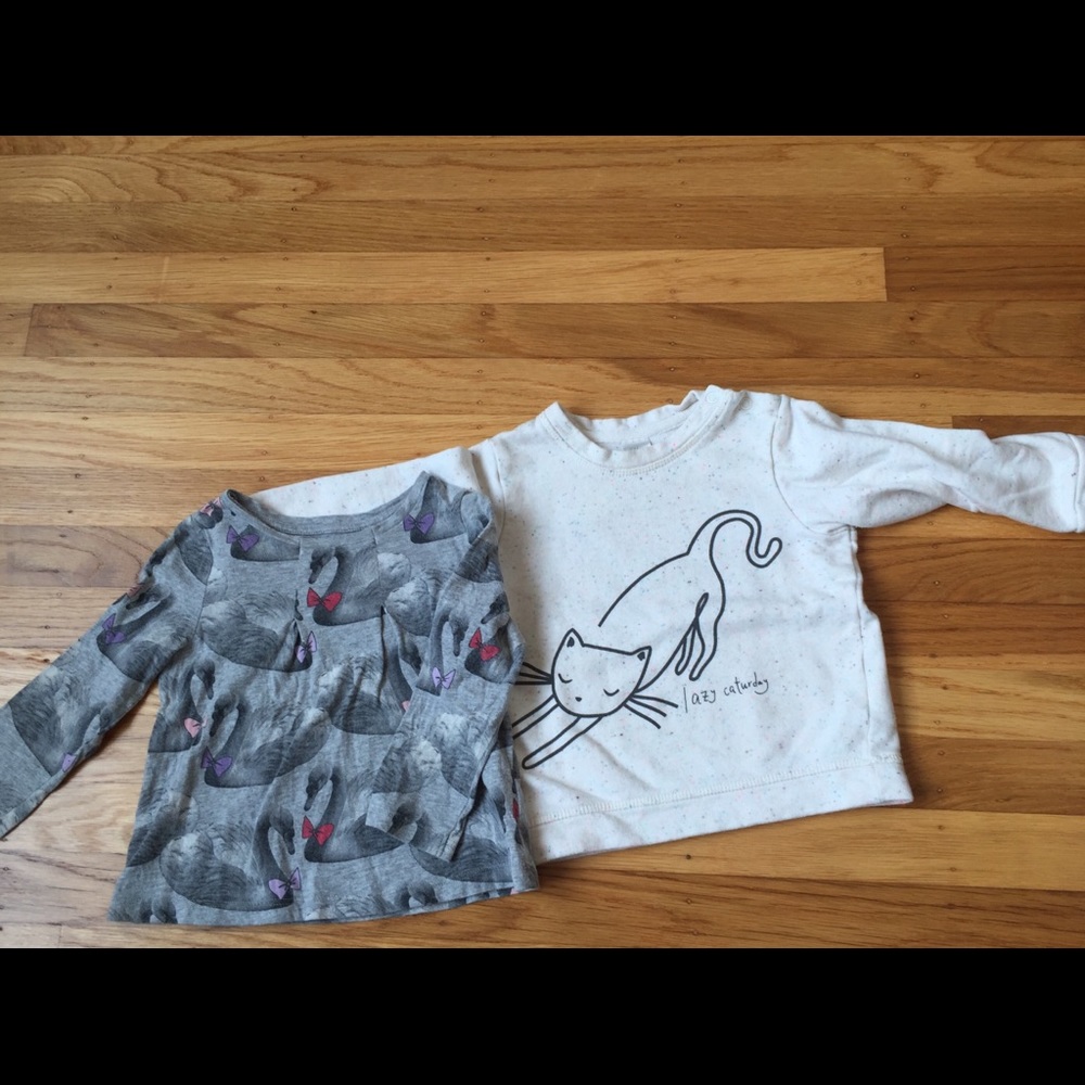 Gap sweater + one Bonus (stained)
